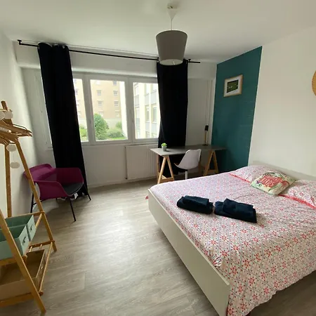 Cosy Flat 2 Saint-Etienne (Loire)